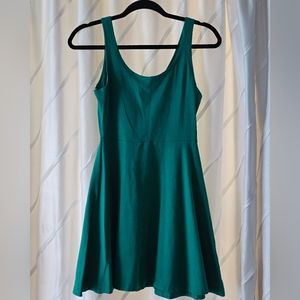 Express skater dress